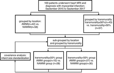 Comparison of Left Ventricular Global Strain in Anterior and Non-anterior Wall Myocardial Infarction With CMR Tissue Tracking